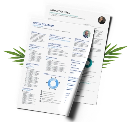 Professional CV Writing